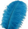 Sowder 10pcs Strauß-Federn 12-14inch (30-35cm) für Haupthochzeits-Dekoration (türkis)