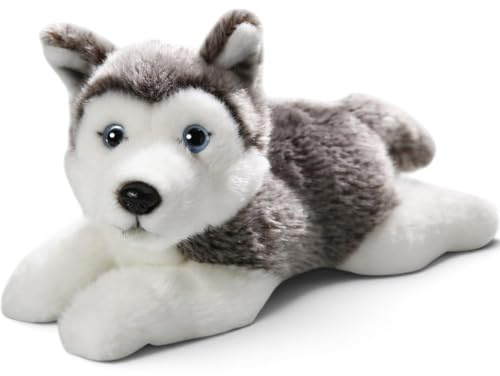 Carl Dick Husky liegend, Hund, Plüschtier, Kuscheltier ca. 20cm 2154008