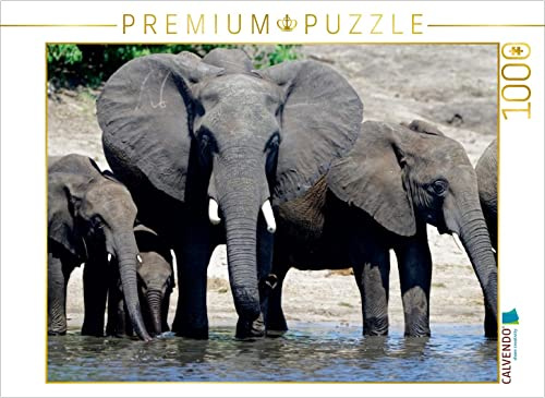 CALVENDO Puzzle EIN Motiv aus dem Kalender Rüsseltiere - Afrikanische Elefanten | 1000 Teile Lege-Größe 64 x 48 cm Foto-Puzzle für glückliche Stunden