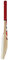 Sanspareils Greenlands Unisex-Youth SG Catch Cricket Bat, Beige, Adult