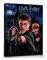 Harry Potter 1art1 Poster Harry Ron Hermine Bilder Leinwand-Bild Auf Keilrahmen | XXL-Wandbild Poster Kunstdruck Als Leinwandbild 50x40 cm