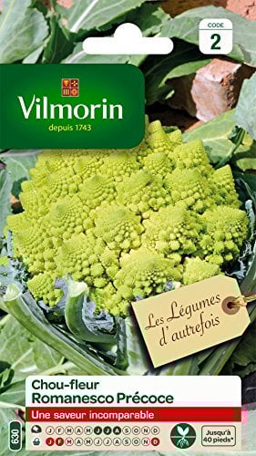 Vilmorin 3367142 Pack de Graines Chou Brocoli Romanesco Précoce