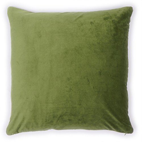 Unbekannt PAD - Elegance - Samt Kissen, Zierkissen, Kissenhülle - 50 x 50 cm - Farbe: Kiwi Grün - ohne Füllung