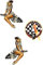 113 3x Pin Up´s Aufkleber/Sticker/Oldschool/Rockabilly/Bobber/V8/Youngtimer