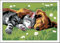 Ravensburger - 280155 - Numéro D'art Set Sommeil Profond