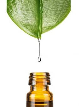 Feuchtigkeitsfaktor NMF, 10ml von Dragonspice Naturwaren, 10ml
