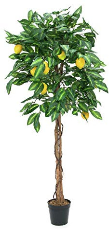 EUROPALMS Zitronenbaum, Kunstpflanze, 150cm