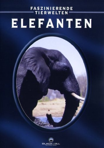 Elefanten - Faszinierende Tierwelten