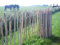 Staketenzaun aus Kastanienholz - Handw. Qualitätsarbeit - Lattenabstand 8cm - 120x460cm [3679] Beige