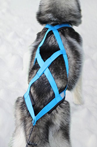 X-Back Zuggeschirr Fuer Bike-, Skijoring Dogscooting Canicross Schlitten in Blau
