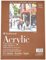 Strathmore Pro-Art-Bilderpalette Lot de 10 Feuilles de Papier Acrylique 20,3 x 30,5 cm
