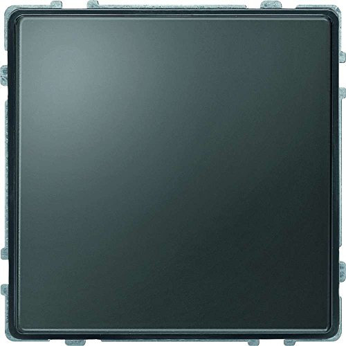 Merten 348314 Blindabdeckung, anthrazit, AQUADESIGN