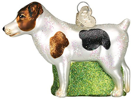 Old World Christmas Ornaments: Dog Collection Glass Blown Ornaments for Christmas Tree, Jack Russell