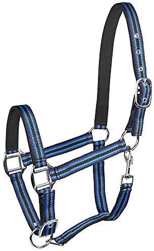 PFIFF 101517 Kunststoffhalfter, Weidehalfter Stallhalfter, Schwarz-Türkis-Blau, Full