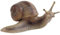 Bullyland 64375 - Spielfigur Weinbergschnecke, ca. 8,5 cm große Tierfigur, detailgetreu, PVC-frei, ideal als kleines Geschenk für Kinder ab 3 Jahren