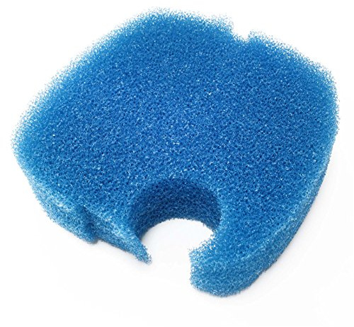 SunSun Ersatzteil für HW-304 Aquarium Außenfilter – Filtermatte – 6 cm – grob – blau – Filtermaterial Filterschwamm für Aquarium Aquaristik