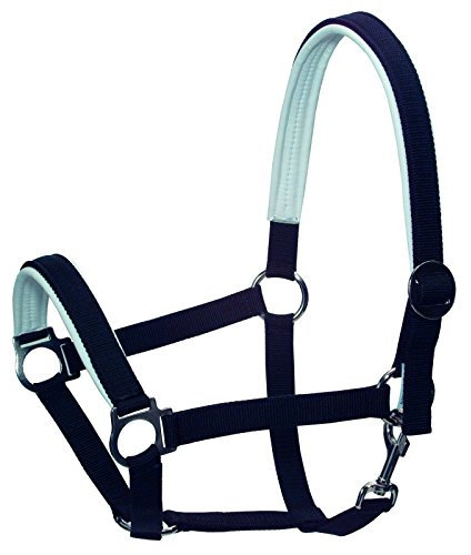 Halfter gepolstert, Pony-Gr. 1
