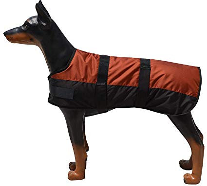 ZGM Hundemantel Eisbär - Rot/Schwarz - 50 cm