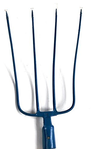 Angelo B 03.08.01 Forca Stalla 4 Denti, Blu