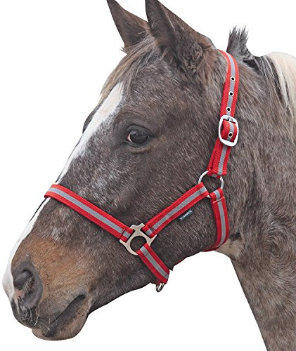 Shires Wessex Nylon Headcollar -Red/Silver Foal