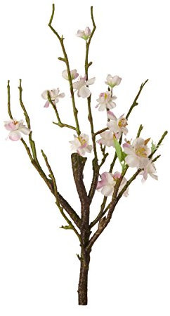 ASA ASA66461444 Kirschblüten, 40,5 cm