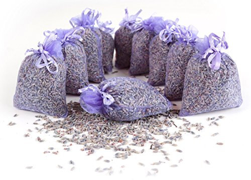 Quertee 20 x Lavendelsäckchen mit französischen Lavendel - Insgesamt 200 g Lavendelblüten
