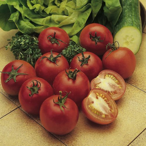 Suttons Seeds 180583 Tomato Alicante Seed