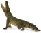 Collecta – col88725 – Wild – Nilkrokodil beweglichen Backe – XL