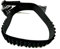 Delfiero Cartuccera Vega elastica calibro 36 2V43