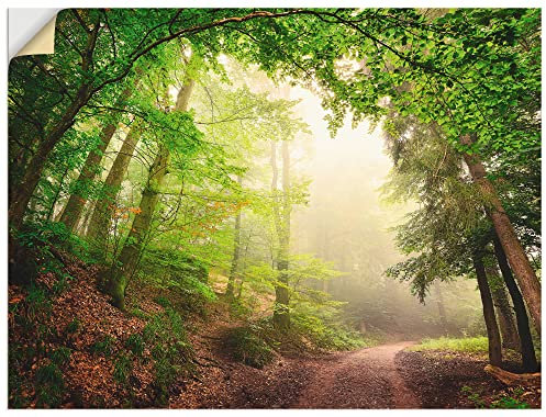 ARTland Wanddeko Wandtattoo selbstklebende Vinylfolie 60 x 45 cm Landschaften Wald Foto Grün Natürliche Torbögen durch Bäume B6UU