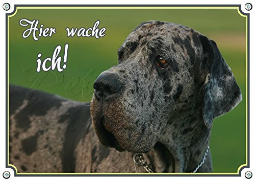 Petsigns Hundeschild Deutsche Dogge - Hier WACHE ICH! stabiles Alu Schild - UV beständig, DIN A4