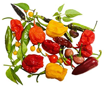 Chili-Samen Mix 20 Arten zu jeweils 10 Samen (200) Samen + Anzuchtanleitung