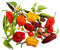 Chili-Samen Mix 20 Arten zu jeweils 10 Samen (200) Samen + Anzuchtanleitung