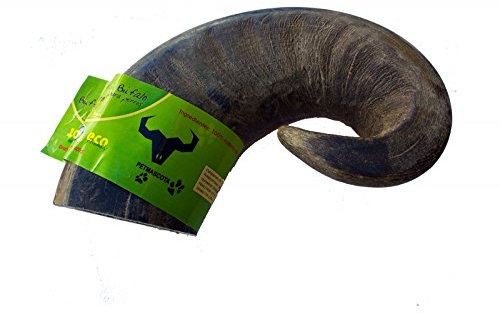 Buffalohorn für Hunde - L, Hypoallergenes Hundefutter mit Buffalo Horn, 0.88 Pfund