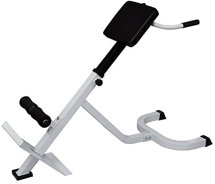 vidaXL Rückentrainer Bauchmuskeltrainer Fitnessbank Fitnessgerät Rückentraining