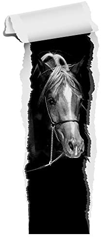 GRAZDesign Wandtattoo Pferd Tapete | Wandtattoo Kinderzimmer Mädchen | Wandsticker Pferdekopf braun | Deko Wanddeko selbstklebend XXL Schwarz Weiß Bild, 96x40cm