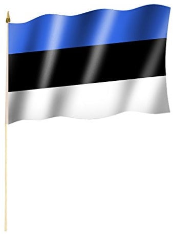 Stockflagge/Stockfahne ESTLAND Flagge/Fahne ca. 30 x 45 cm mit ca. 60cm Stab/Stock