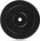 Gymtek® Hantelscheibe, 31 mm Gewichte, Gewichtsscheibe Hantelgewichte (10 kg)