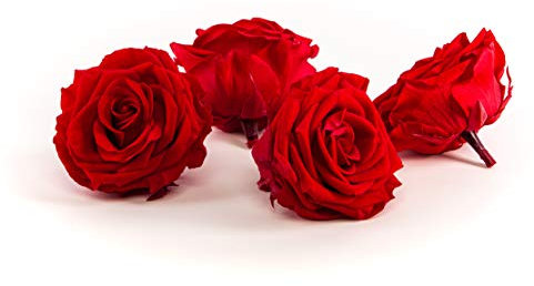 Rosen-Te-Amo | echte konservierte Rosen|4 PREMIUM rote Rosen|Ewige Rosen zum Deko|Konservierte Blumen-Box | äußern Ihre dekorative Kreativität | Geburtstagsgeschenk für Frauen Mama Freundin Oma