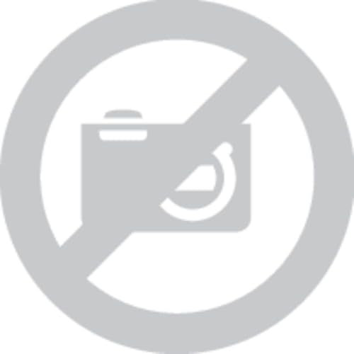 KS Tools 116.1201 Ersatzbacke für Siphonzange, VPE 2 Stk., 4042146085684