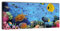 wandmotiv24 Leinwandbild Panorama Nr. 388 Korallenriff mit Fischen 100x40cm, Keilrahmenbild, Bild auf Leinwand, Unterwasser Riff Tauchen