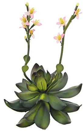 EUROPALMS Steinrose (Eva), Kunstpflanze, pink, 32cm | Weiche Steinrose mit Soft-Touch-Blättern - sehr elegant