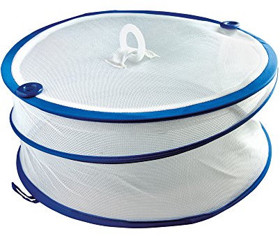Jalousiescout Abdeckhaube Fliegenhaube Lebensmittel Insektenschutzhaube, Faltbar, Ø 30 cm, Netzfarbe Weiß, Spannfederummantelung Blau, 4 Stück