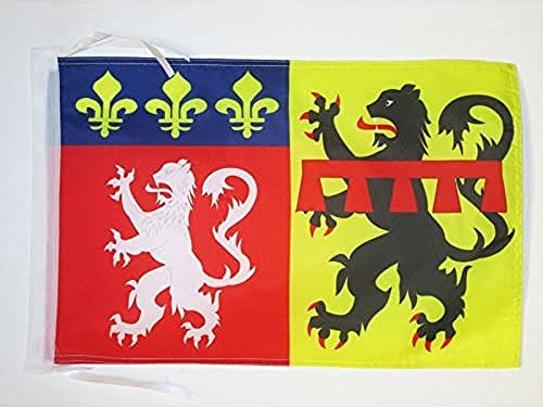 AZ FLAG - Drapeau Rhône - 45x30 cm - Pavillon Département Rhodanien 100% Polyester Avec Deux Cordelettes - 20g