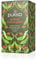 Pukka Herbs | Ginseng Matcha Green Organic Tea Box | Ginseng, Lemongrass, Ginger, Matcha & Green Tea | For Everyday Vitality | 4 Packs | 80 Plant Based Biodegradable Tea Bags