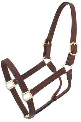 Royal King Leather Track Halter - Horse