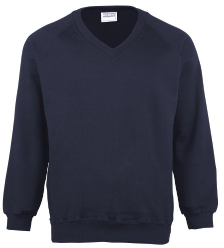 Maddins Mens Coloursure™ V-Neck Sweatshirt (M) (Navy)