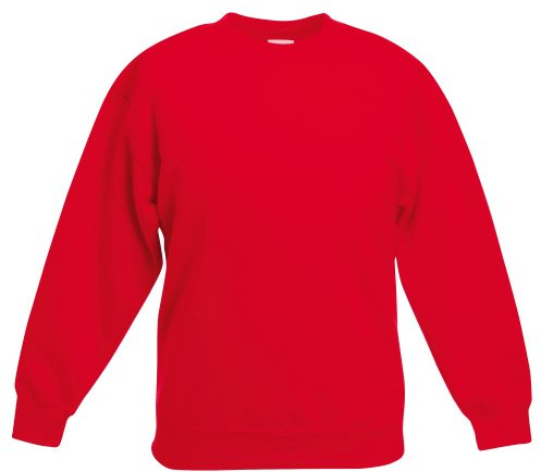 Fruit of the Loom Kids Unisex Classic 80/20 Set-In Sweatshirt (14-15) (Red)