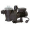 guinard - pompe piscine guinard 450W 10.5m3/h