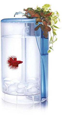 Ocean Free AT620A Betta Flora LED-Set, Weiß, mit Hydrokultursystem, 2 Liter